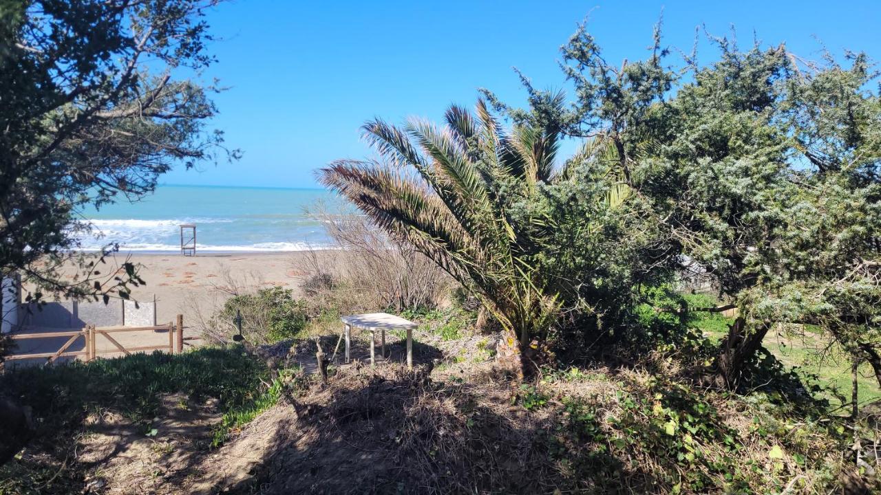 Apartamento Miledy Monolocale Direttamente Sul Mare Marina di Castagneto Carducci Exterior foto
