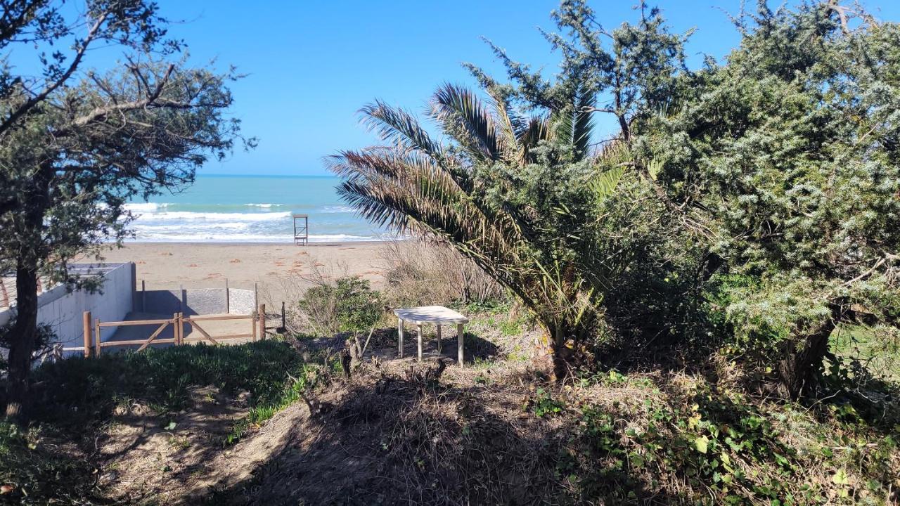 Apartamento Miledy Monolocale Direttamente Sul Mare Marina di Castagneto Carducci Exterior foto